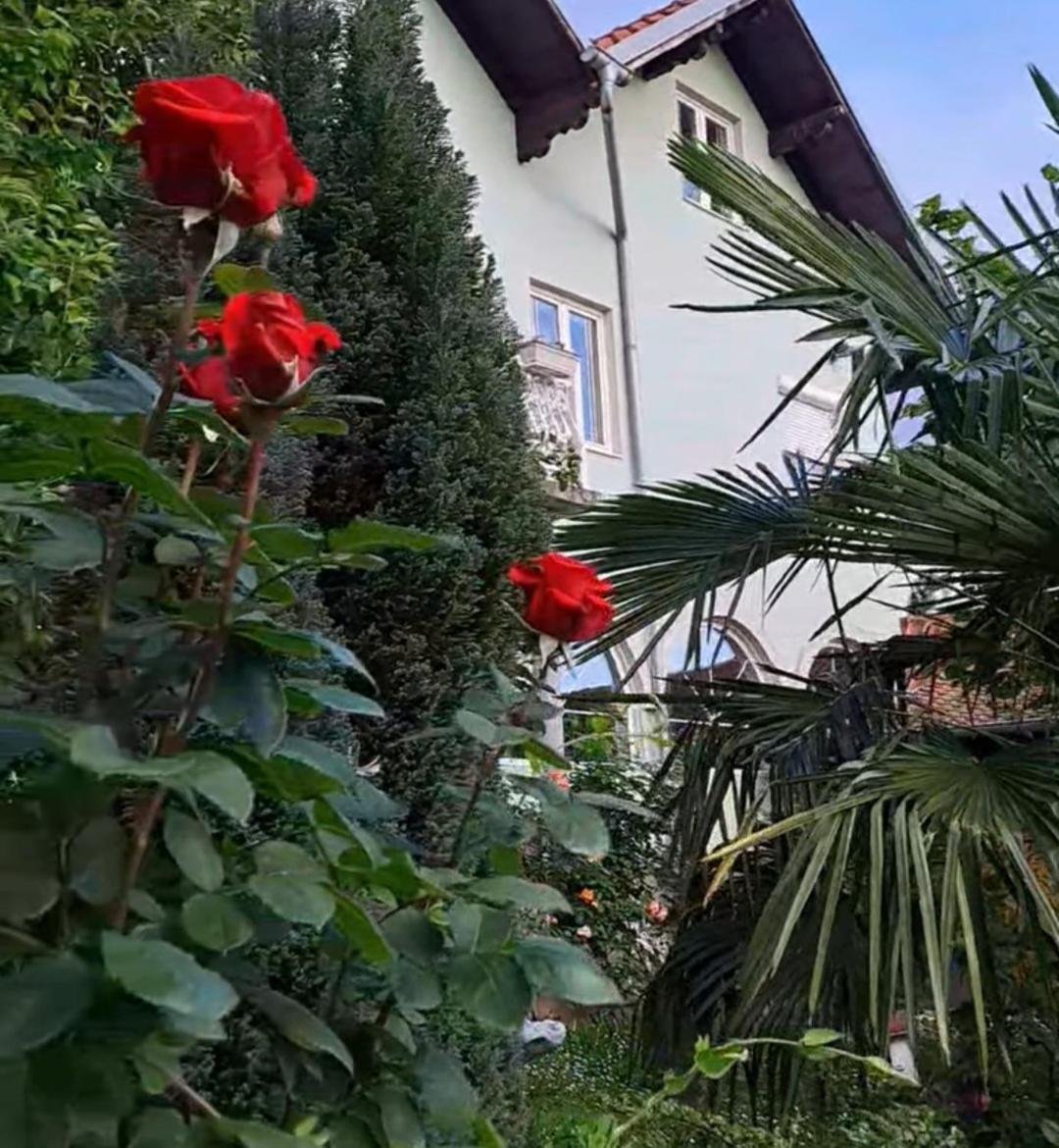 Smestaj Novakovic,Zdrelo Aparthotel Bagian luar foto