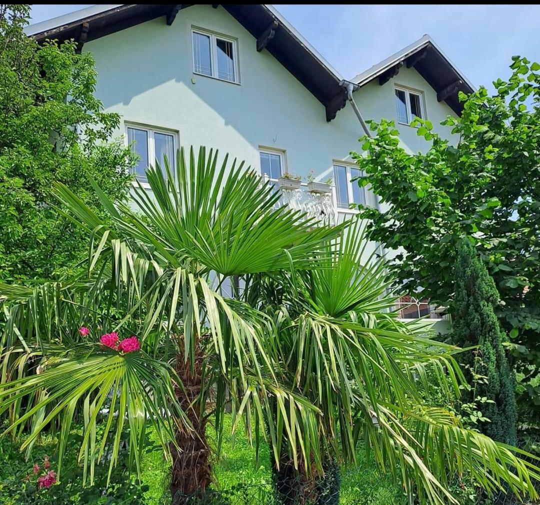 Smestaj Novakovic,Zdrelo Aparthotel Bagian luar foto