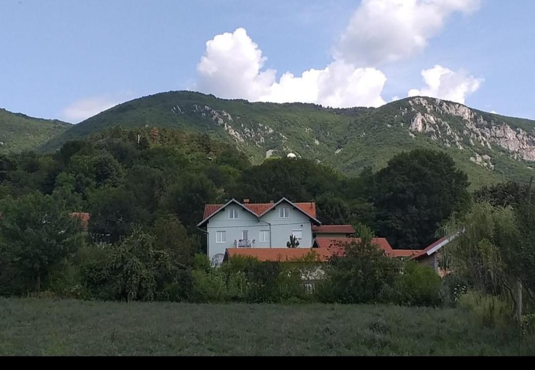 Smestaj Novakovic,Zdrelo Aparthotel Bagian luar foto